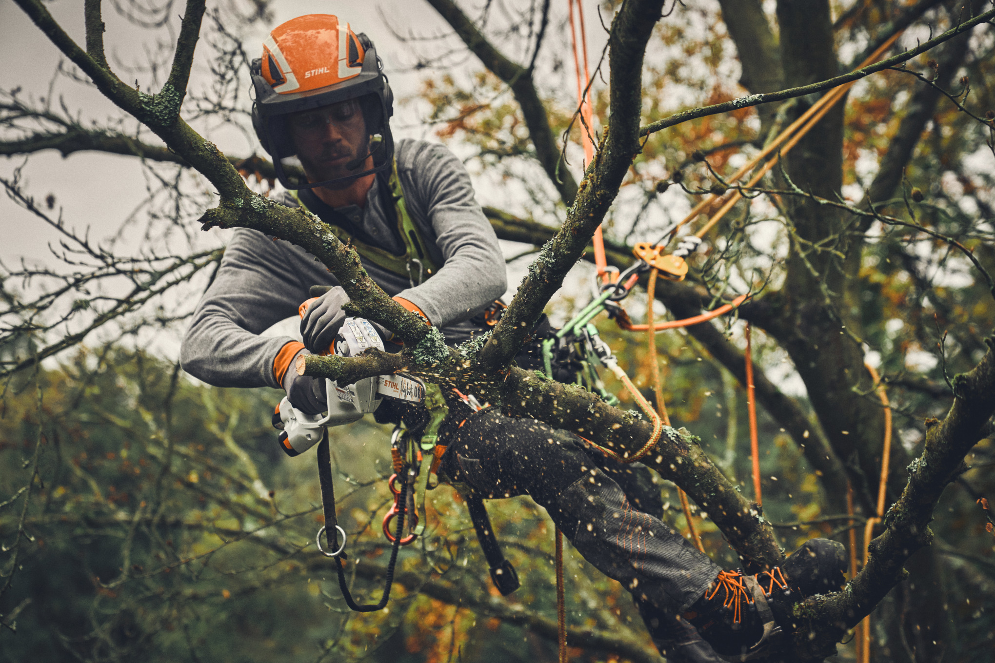 Një arborist profesionist pret pemën me prerësen e degëve me bateri STIHL.