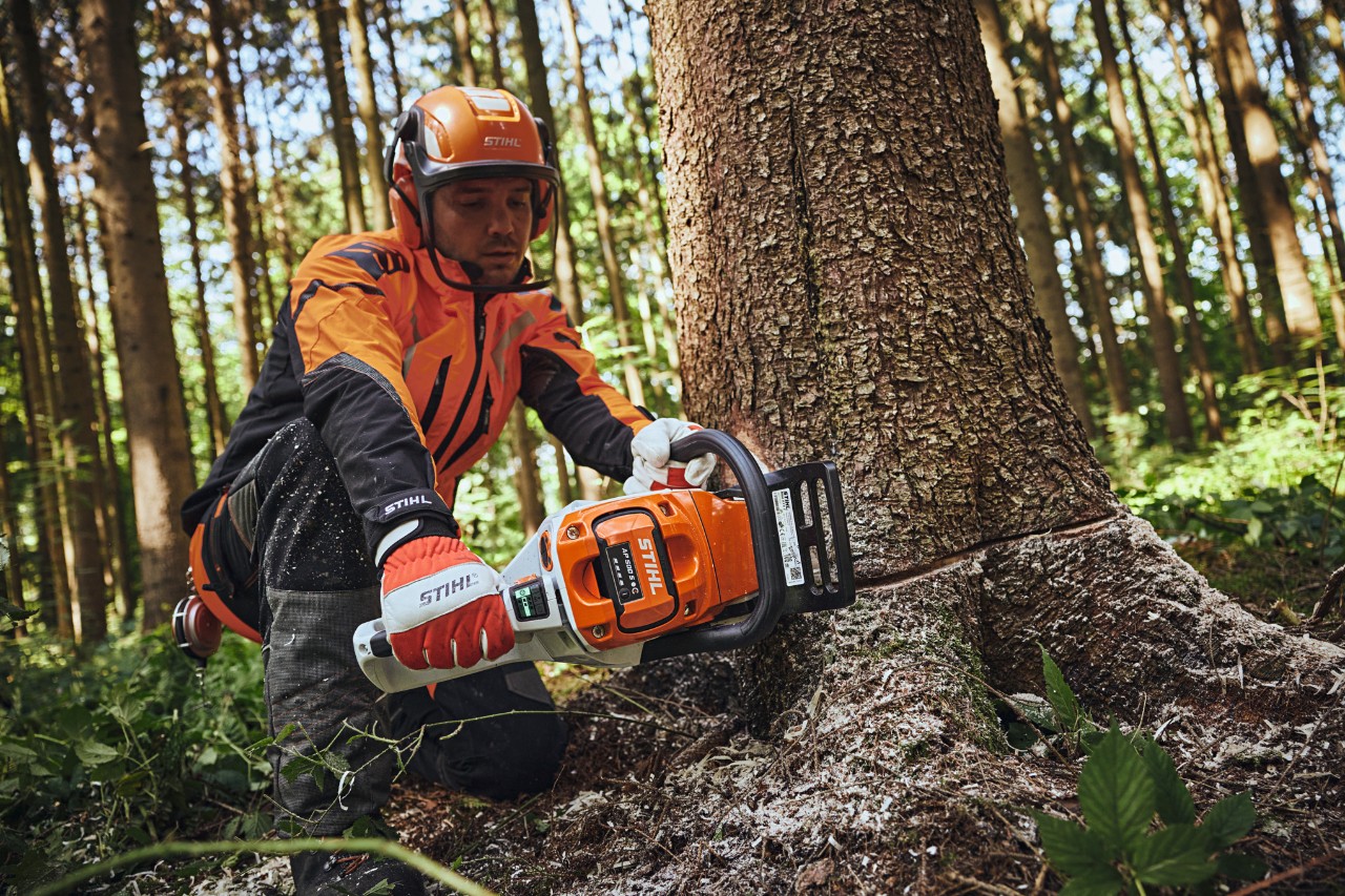 Muškarac u STIHL zaštitnoj odeći preseca stablo testerom