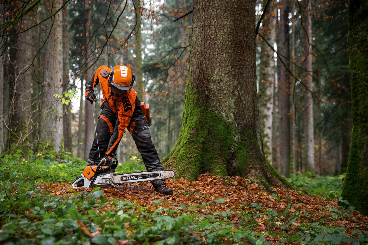 Muškarac u zaštitnoj odeći pokreće benzinsku lančanu testeru STIHL MS 500i na tlu listopadne šume