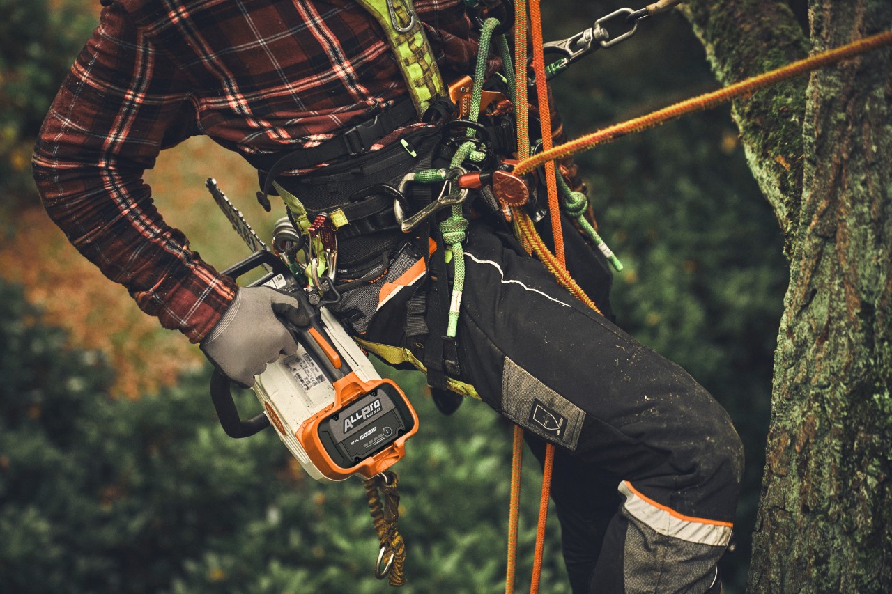 Izbliza osobe koja se penje na drvo bežičnom motornom testerom STIHL MSA 190 T.