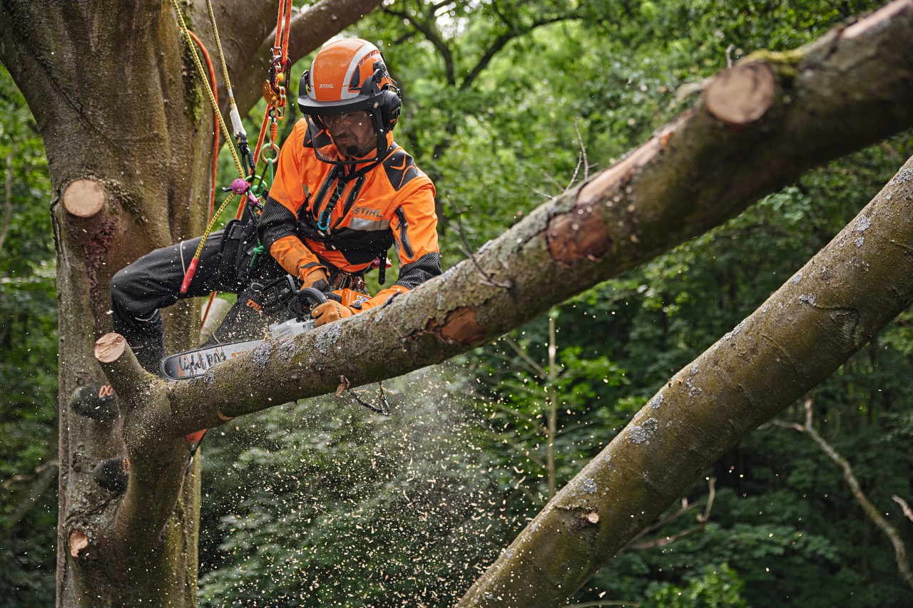 Arborista radi sa baterijskom motornom testerom STIHL MSA 220 TC-O u krošnji drveta, opremljen ličnom zaštitnom opremom u šumarstvu