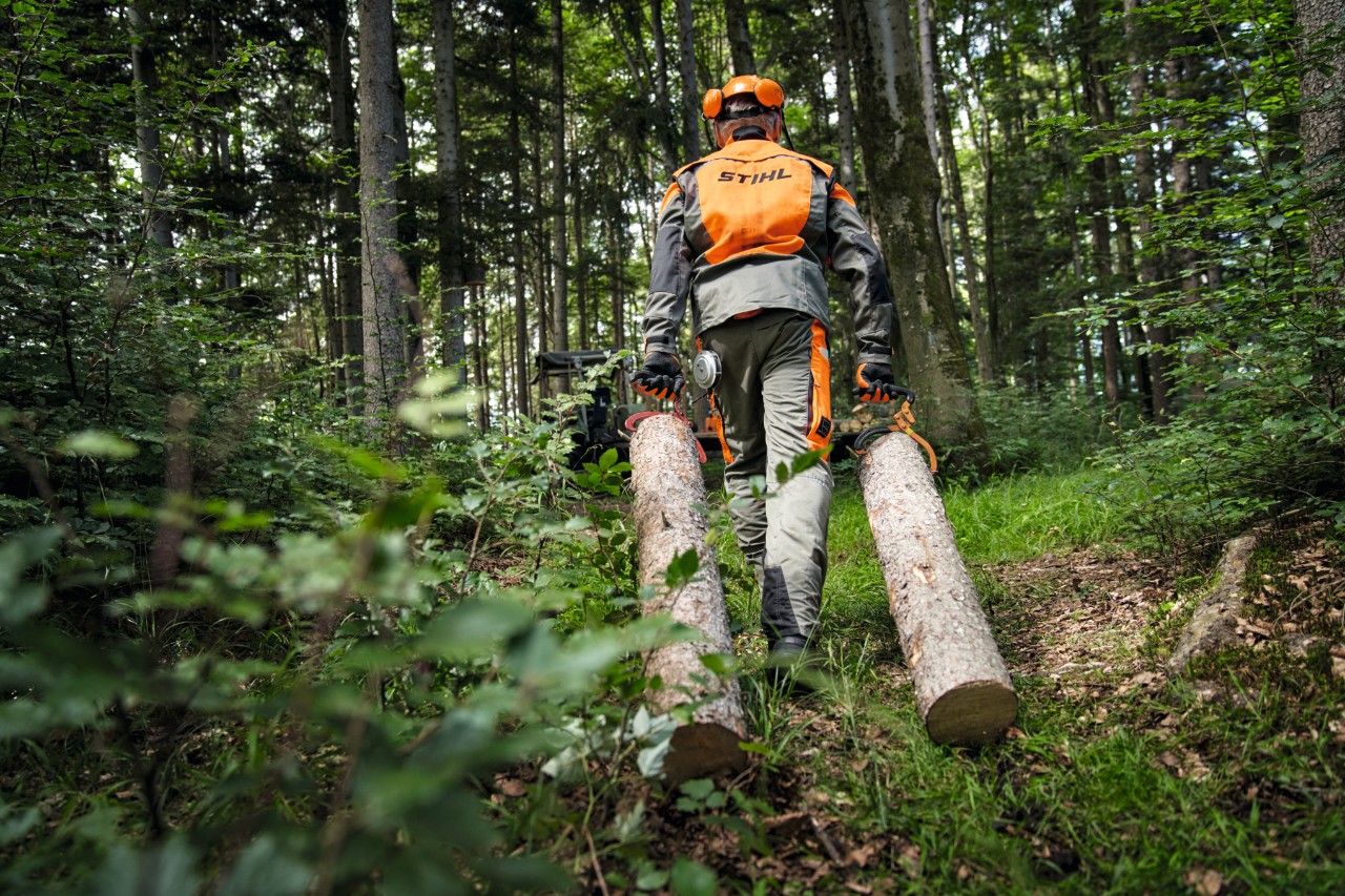 Šumar sa STIHL zaštitnom opremom prilikom transporta drva na šumskom putu