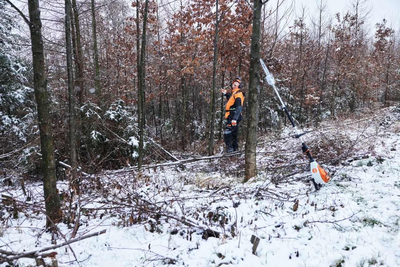 Čovek radi u zaštitnoj opremi u zavejanoj šumi, u prvom planu STIHL HTA 150 baterijski rezač visokih grana naslonjen na stablo