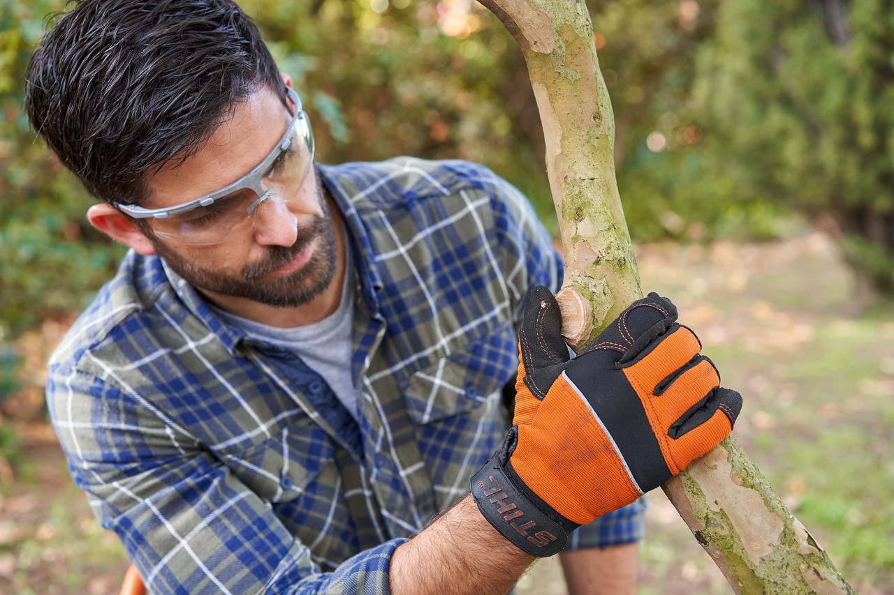 Čovek koji nosi STIHL zaštitne rukavice i zaštitne naočare pregleda granu u bašti