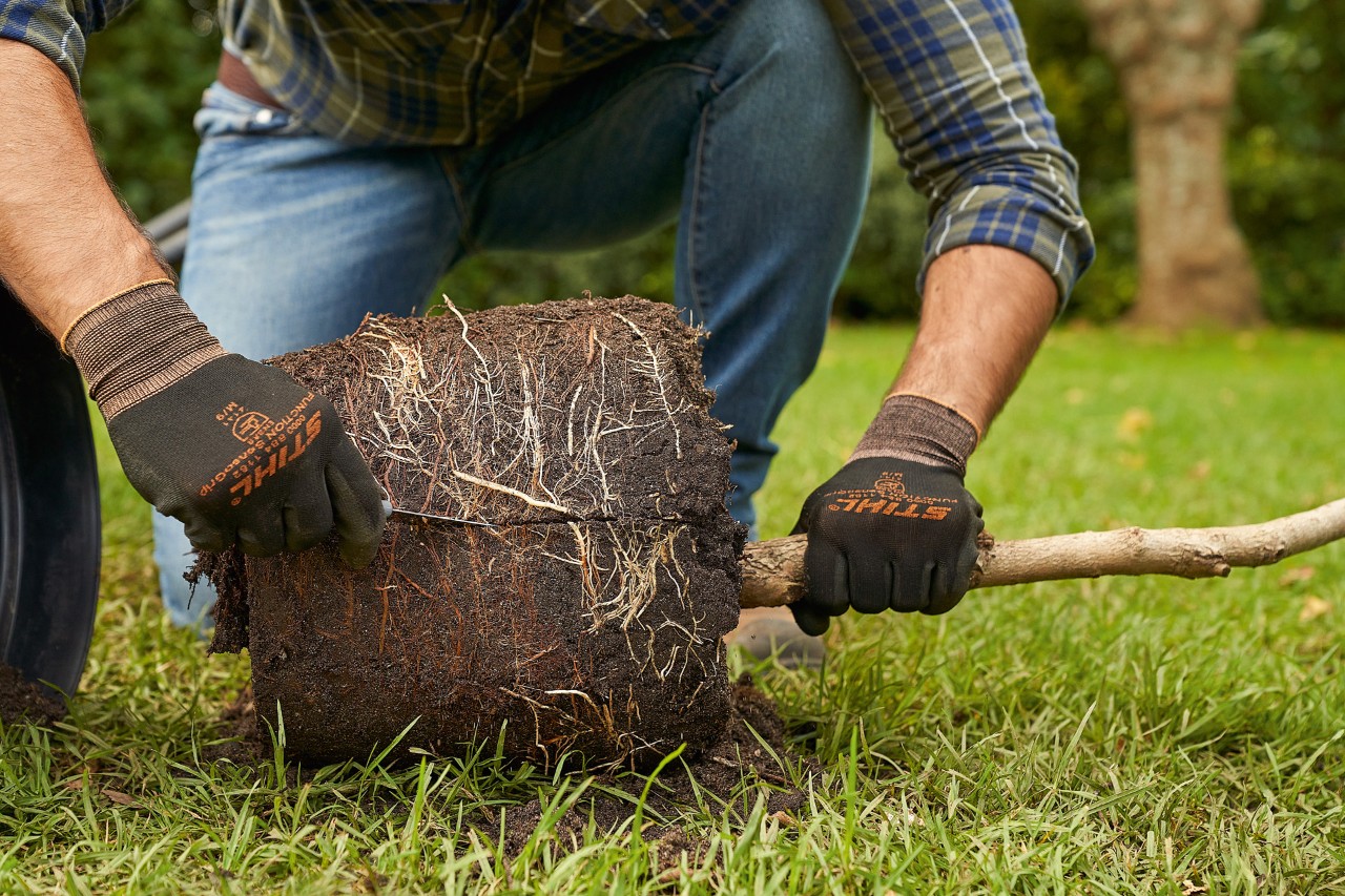 Čovek koji nosi STIHL zaštitne rukavice reže koren drveta u kontejneru na ivici bale