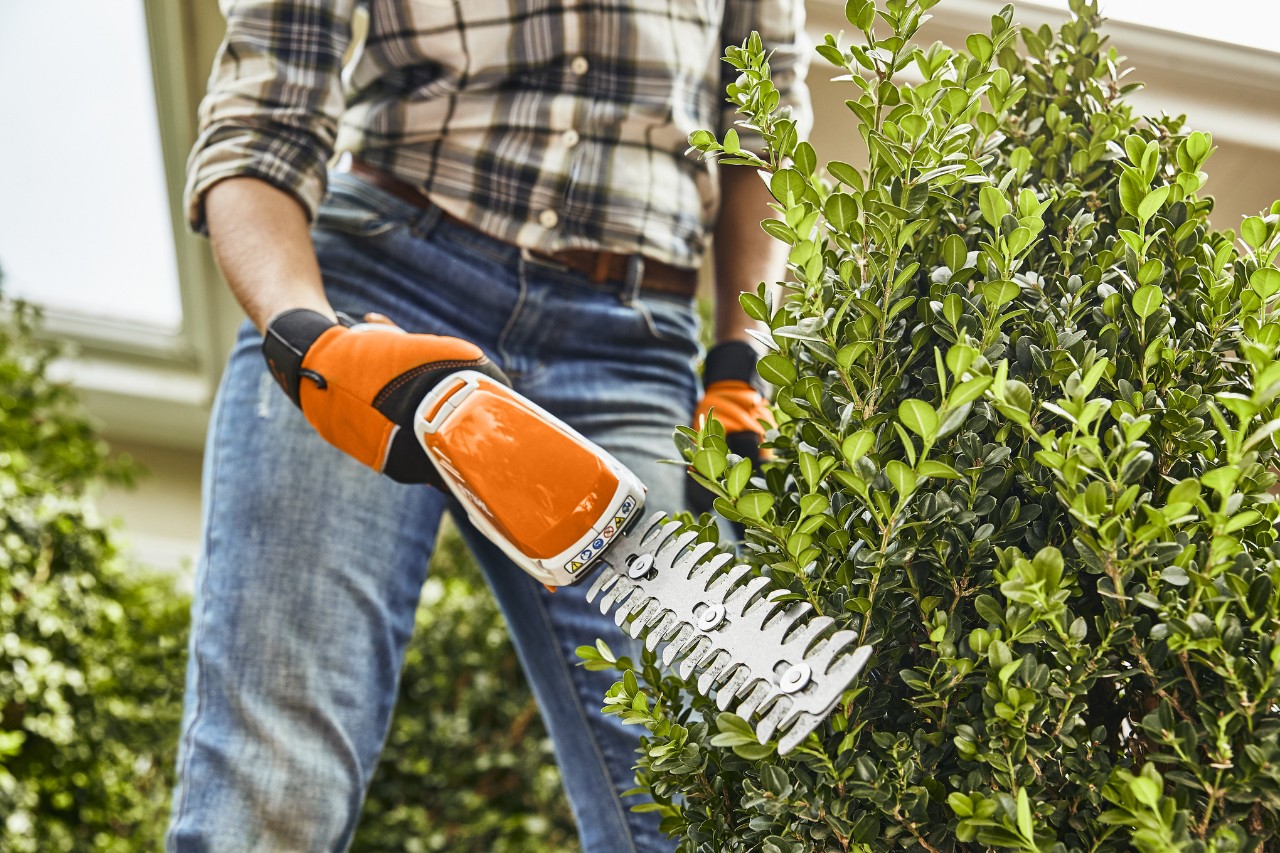 Krupni plan orezivanja šimšira baterijskim makazama za živu ogradu STIHL HSA 26