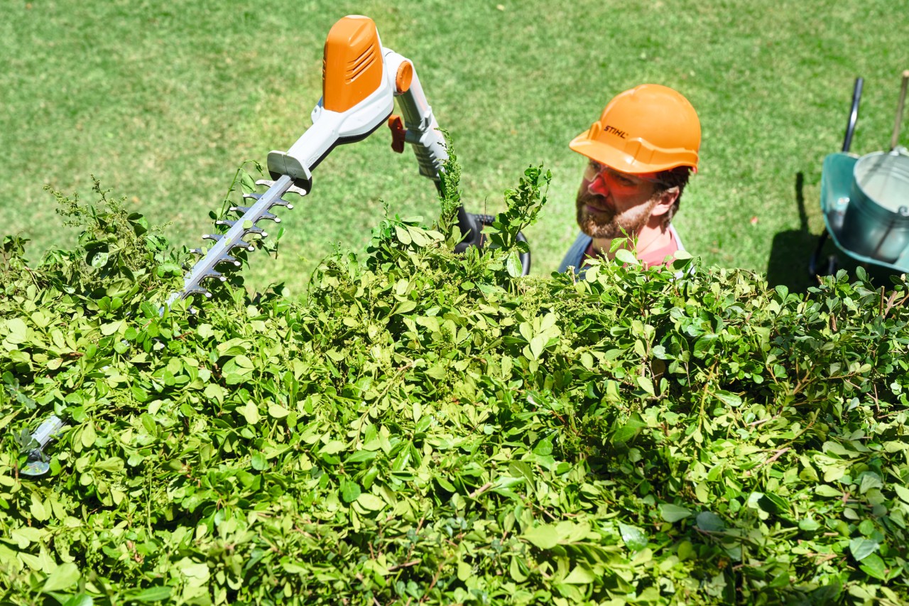 Fotografija iz ptičje perspektive na kojoj je prikazano kako čovek u zaštitnoj opremi orezuje krunu žive ograde pomoću baterijskog trimera za živu ogradu STIHL HLA 56 
