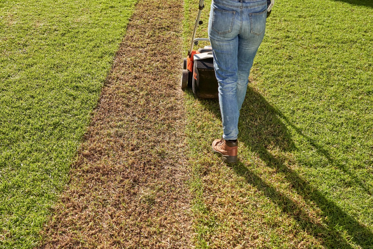 Žena provetrava travnjak sa baterijskim STIHL prozračivačem travnjaka RLA 240