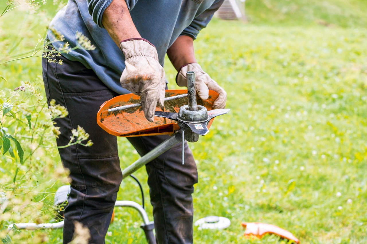 Prilikom održavanja motorne kose STIHL FS 131, čisti se glava za košenje