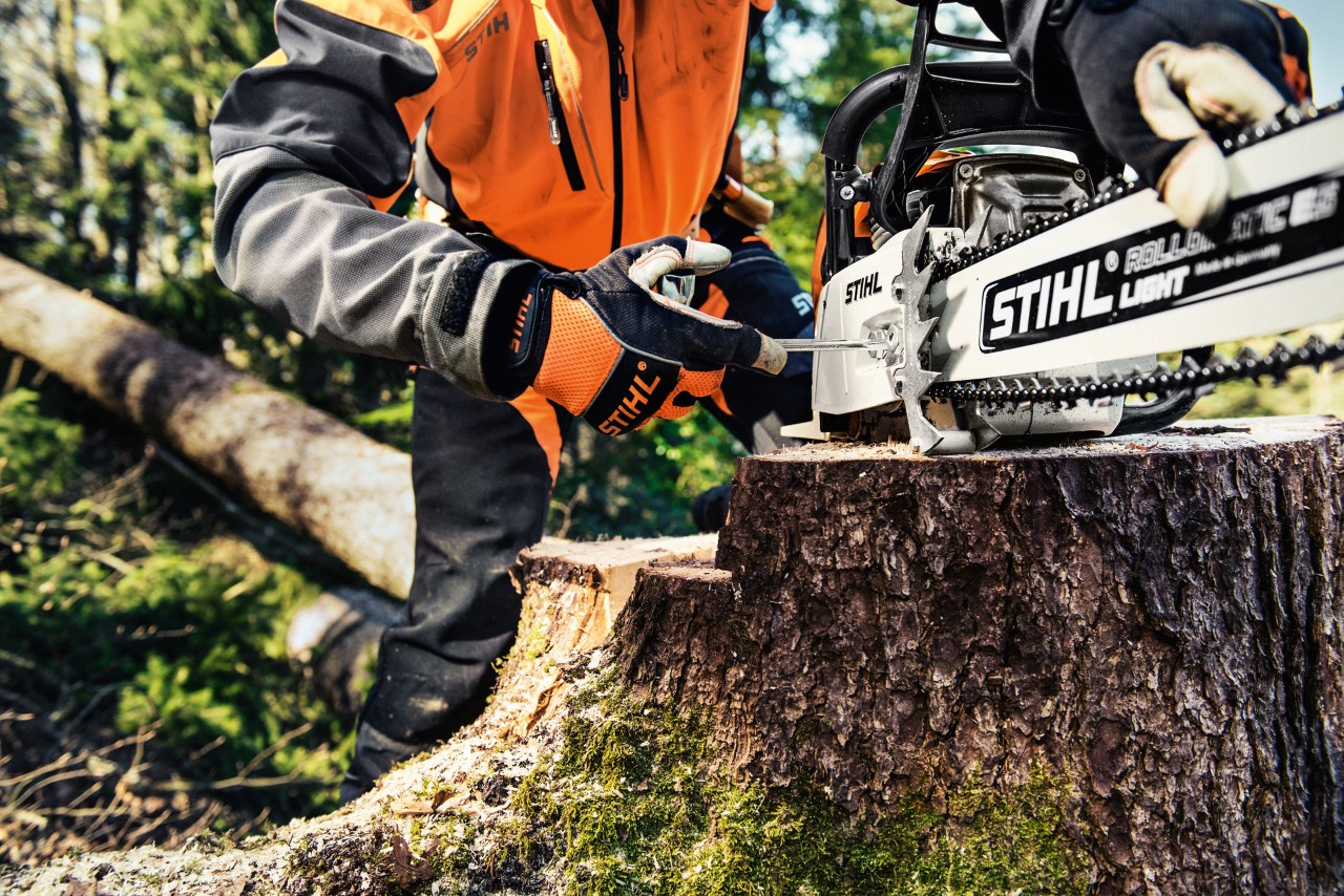 STIHL benzinska lančana testera MS 461 na panju, osoba u zaštitnoj odeći iza