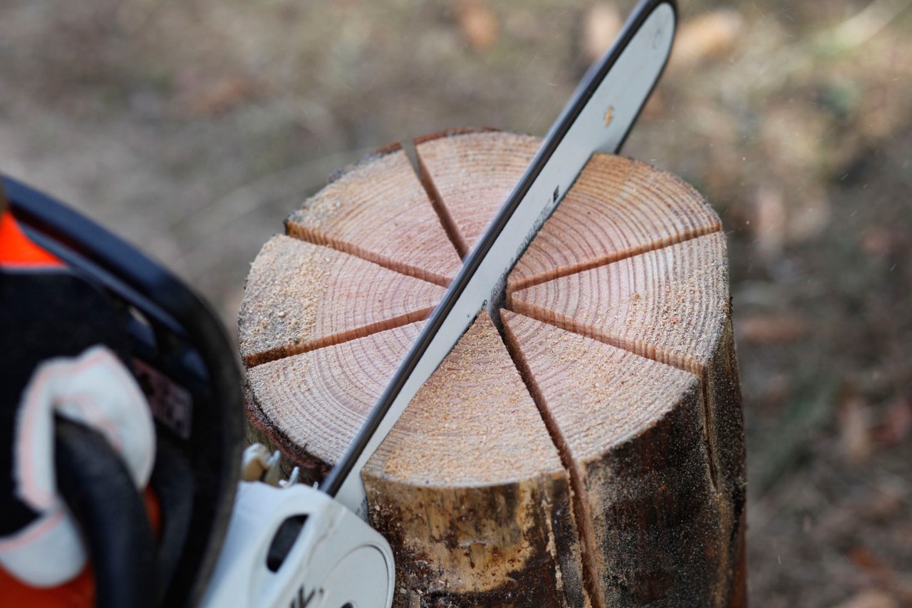 Deblo se benzinskom motornom testerom STIHL MS 181 C zaseca u obliku zvezde
