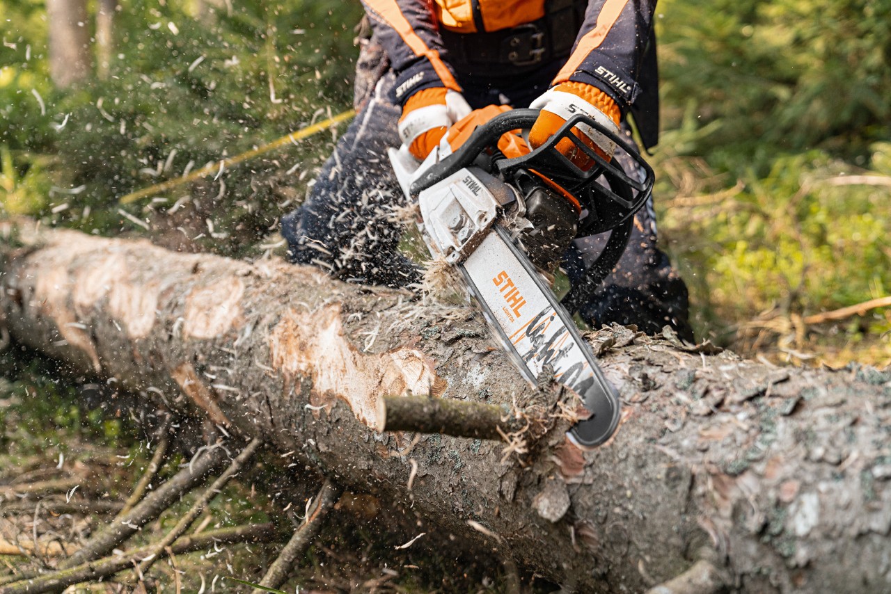 Skidanje kore sa stabla u šumi STIHL benzinskom motornom testerom MS 261 C-M sa 2-Mix motorom i vodilicom Light 04