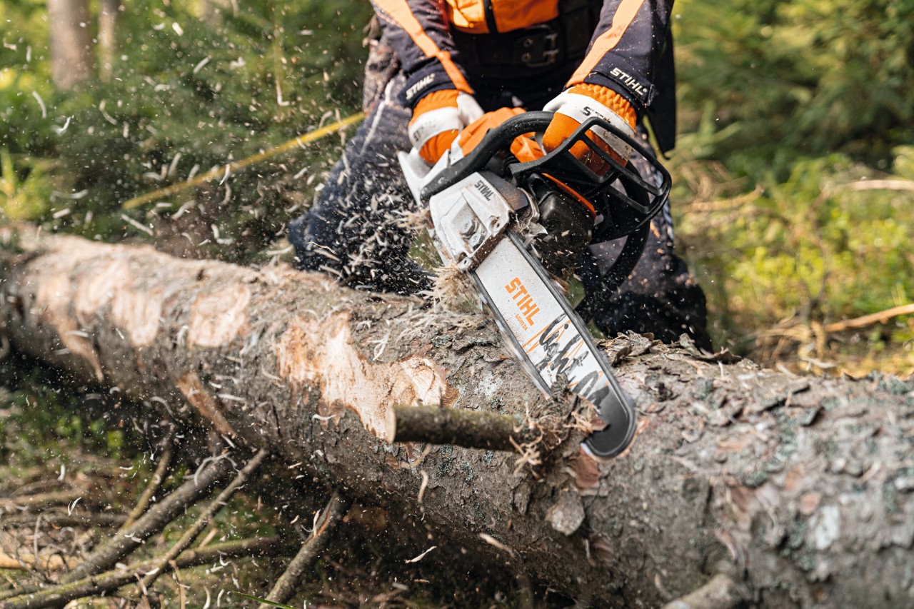 Skidanje kore sa stabla u šumi STIHL benzinskom motornom testerom MS 261 C-M sa 2-Mix motorom i vodilicom Light 04