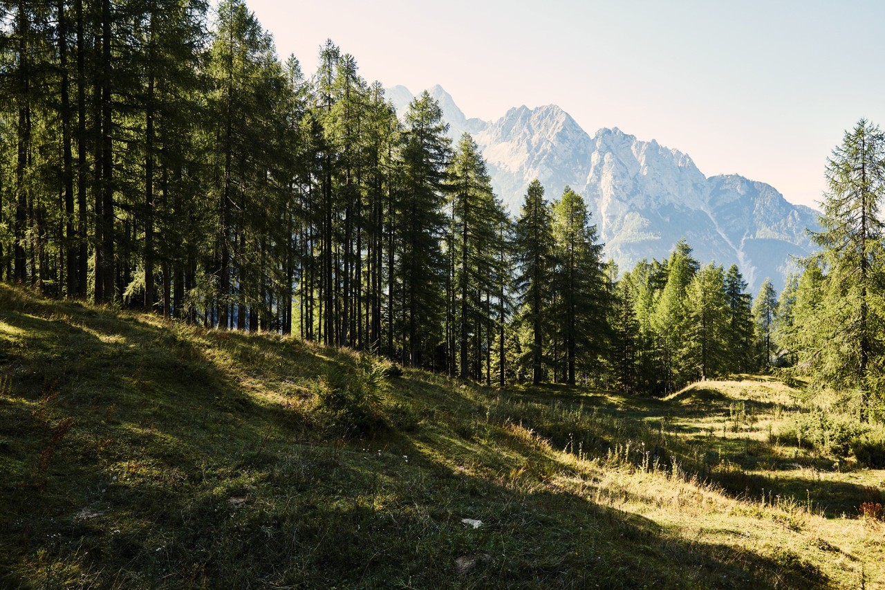 Šumski i planinski pejzaž